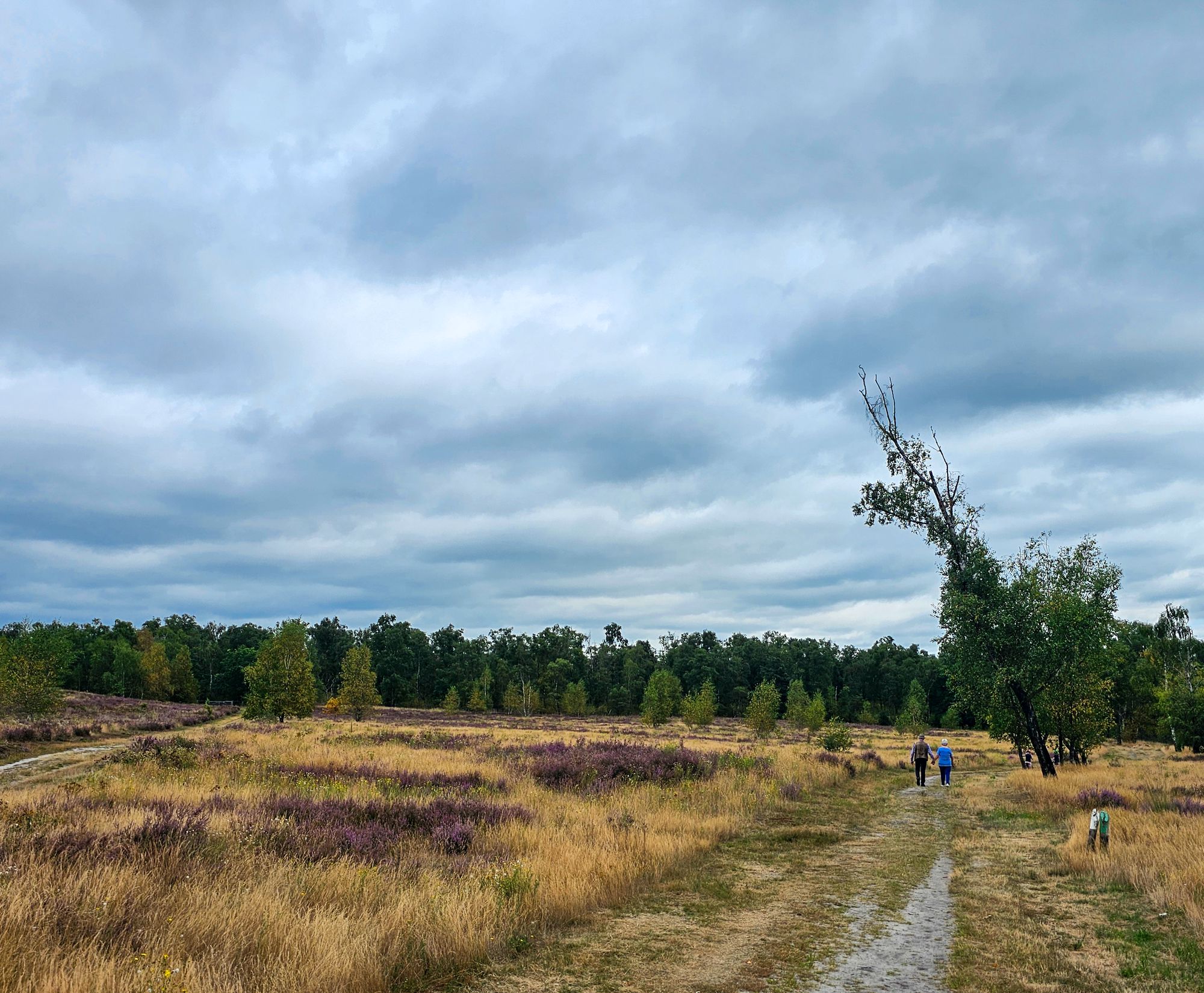 maasduinen_wandelen