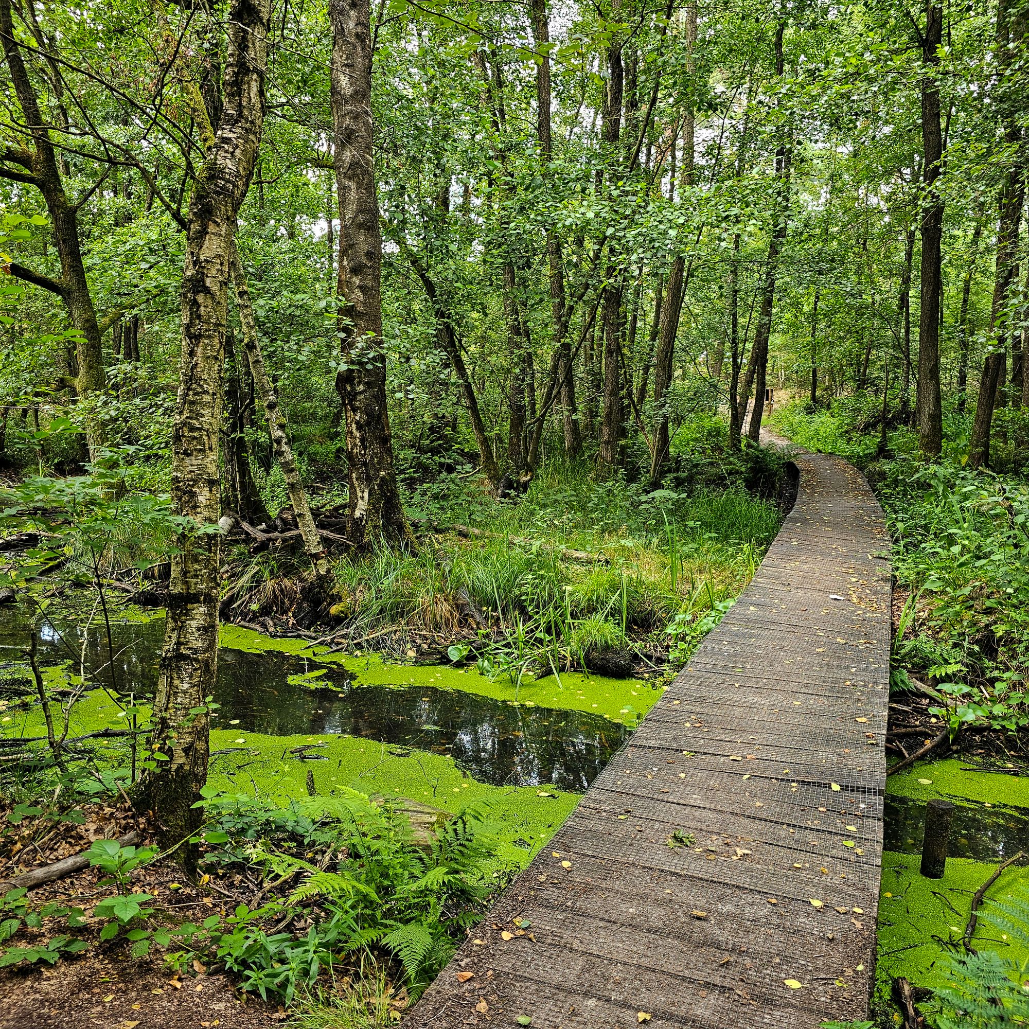 schuitwater_wandelen